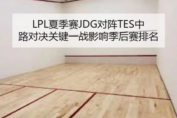 LPL夏季赛JDG对阵TES中路对决关键一战影响季后赛排名